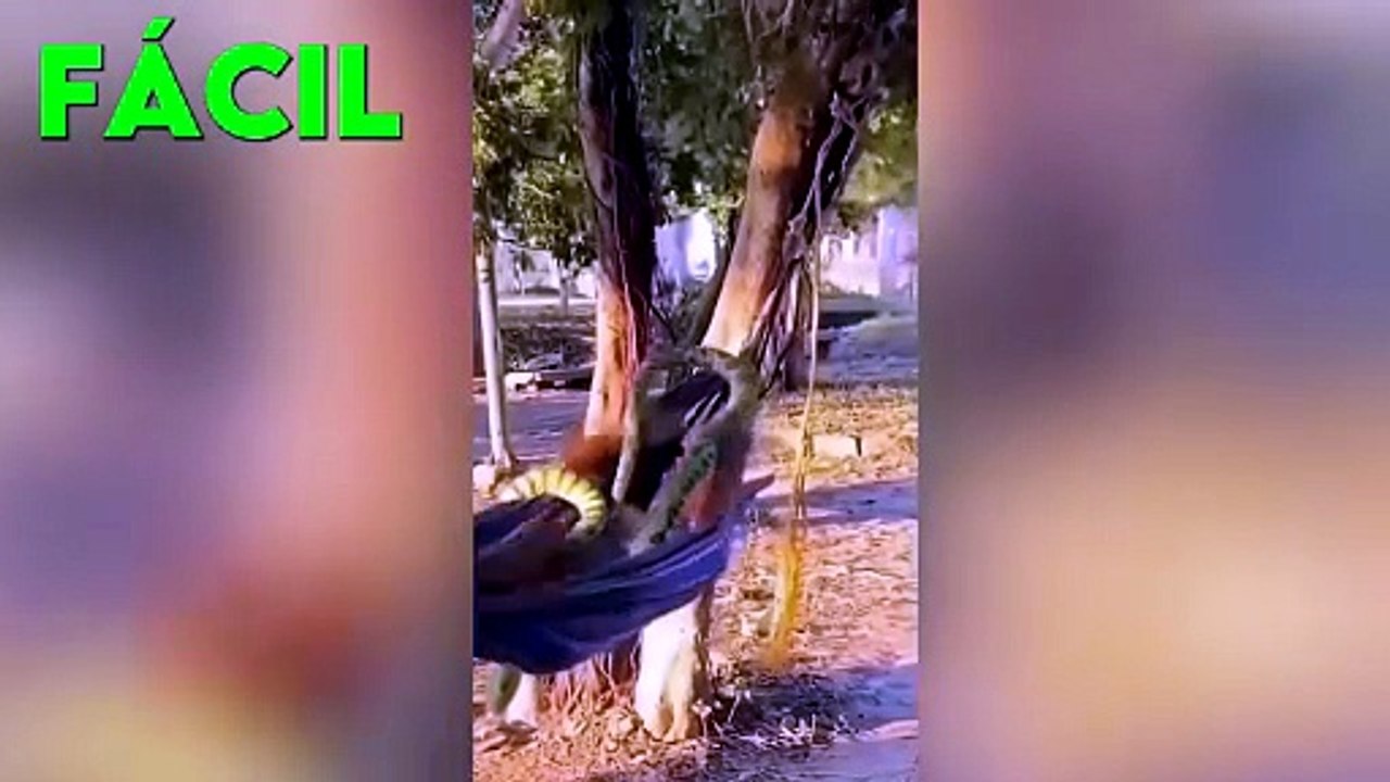 SI TE RÍES PIERDES🤯 [999.99 IMPOSIBLE NO REÍRSE] 😅 Video De Risa Muy Graciosos 2026 😂