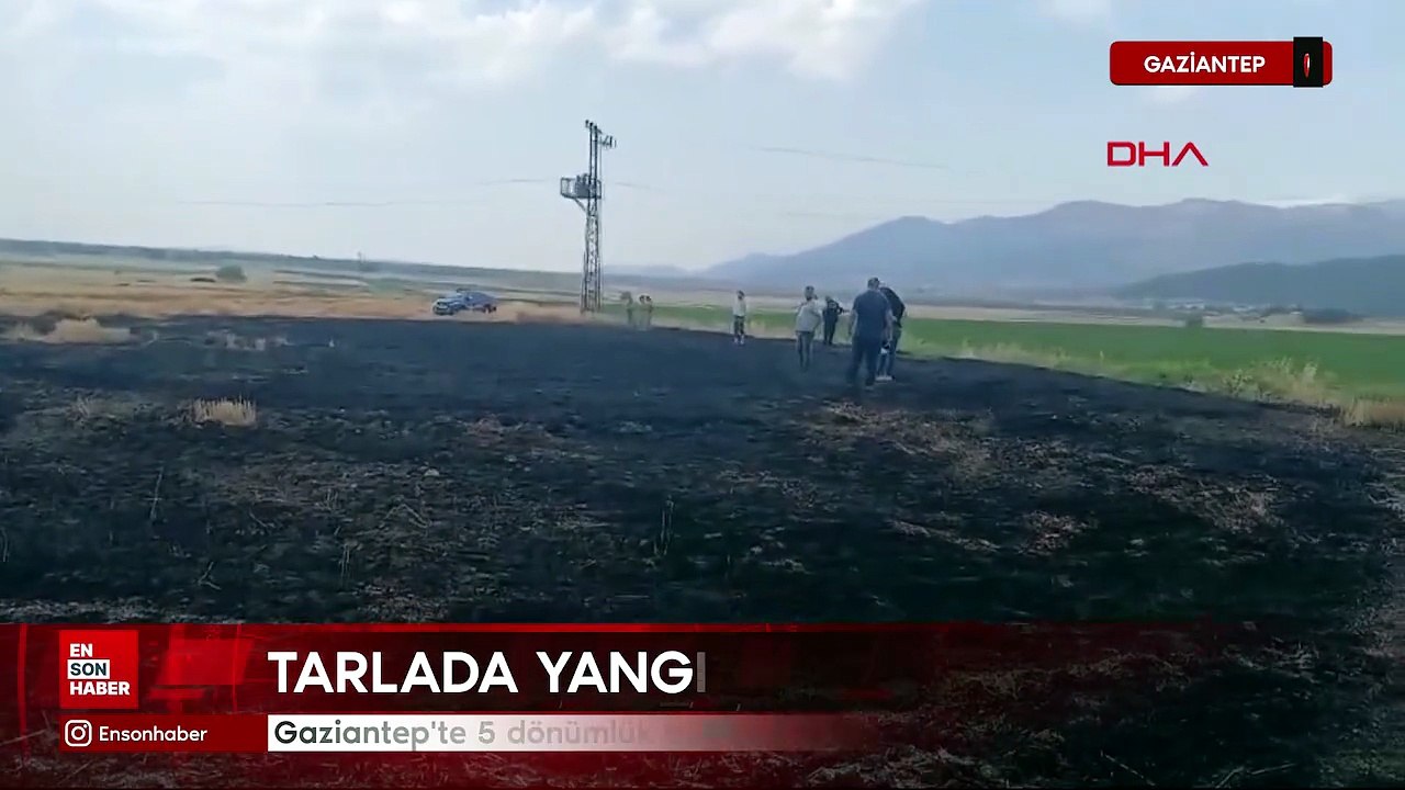 Gaziantep'te 5 dönümlük buğday tarlası yandı