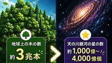 【宇宙と自然】地球の木 vs 銀河の星！驚きの事実