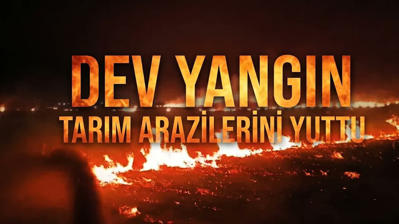 Silopi'de Dev Anız Yangını: Alevler 300 Dönümü Yuttu!