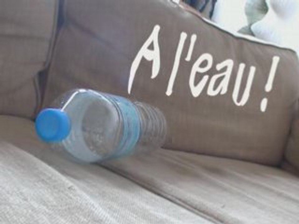 .2vu - A l'eau !