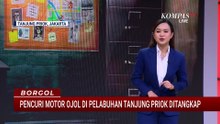 Polisi Tangkap Pelaku Pencurian Motor Ojol di Pelabuhan Tanjung Priok | BORGOL