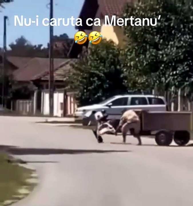 TOO FUNNY 🤣