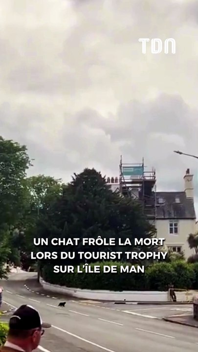 Un chat frôle la mort lors du Tourist Trophy sur l'île de Man