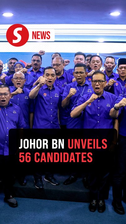 Johor polls: Adham Baba returns in Pasir Raja, Onn Hafiz defends Machap for BN
