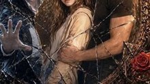 Swapping My Alpha: From Fox to Wolf - Full EP (ENGSUB) | Werewolf Fantasy Romance