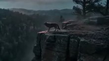 the alpha who signed me away