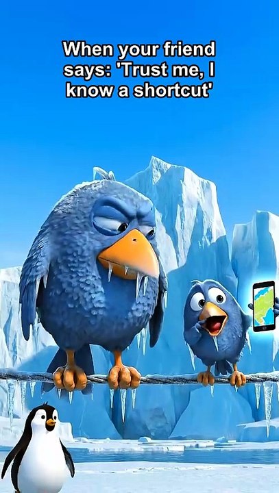 When you trust the wrong navigator... 🥶 #talkingbirds