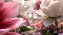 The Garden of Shared Breath | A Surreal Cinematic Journey Into Deep Understanding