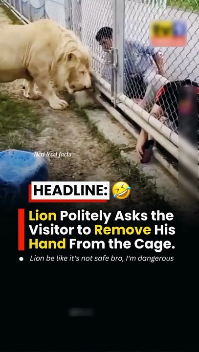 Funny videos 😹