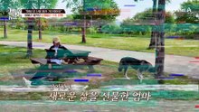 "매일 밤 산을 올라갔어요" 대불산 들썩인 3개원간 구조 전쟁?