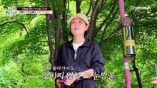 대불산 수호신에서 '산이'가 됐다?! 대불공원 늑대개의 정체는?