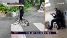 "안 먹어도 돼요" 강 훈련사가 짚어낸 '산이'의 마음은?
