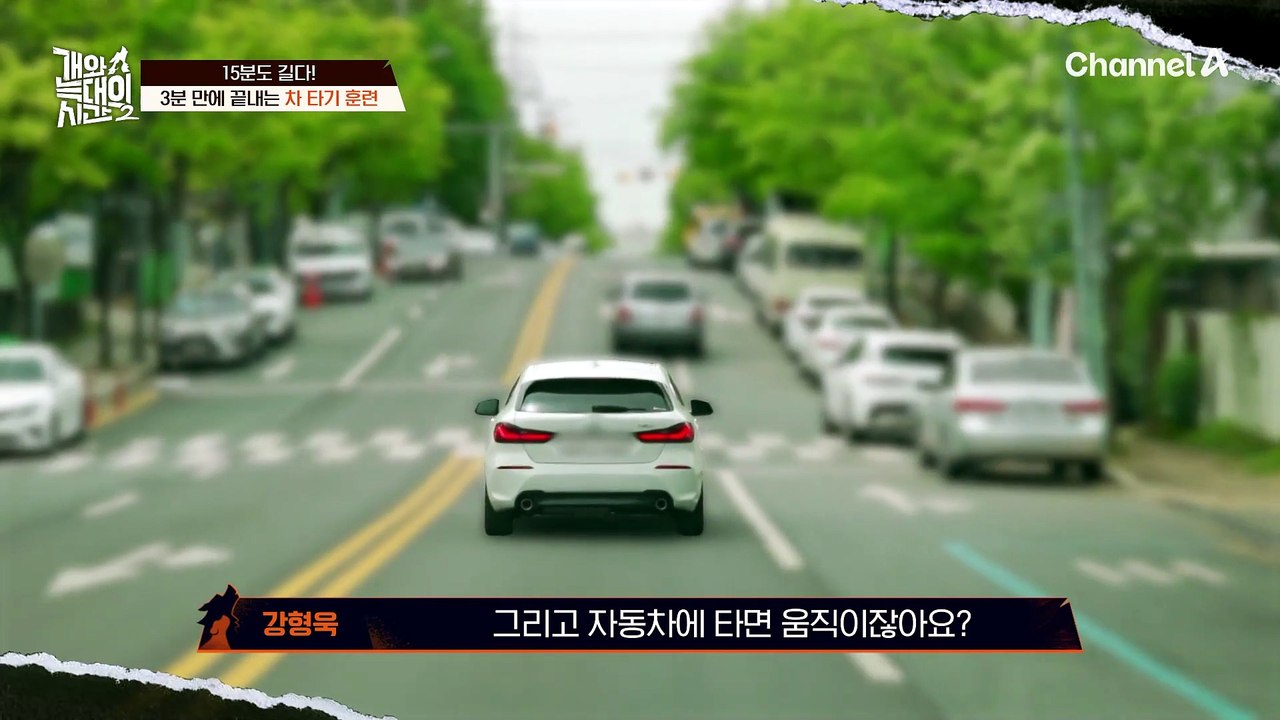 "이제 차에서 안 내리는 개(?)" 3분 만에 끝내는 차 타기 훈련