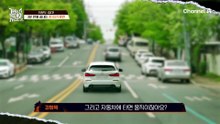 "이제 차에서 안 내리는 개(?)" 3분 만에 끝내는 차 타기 훈련