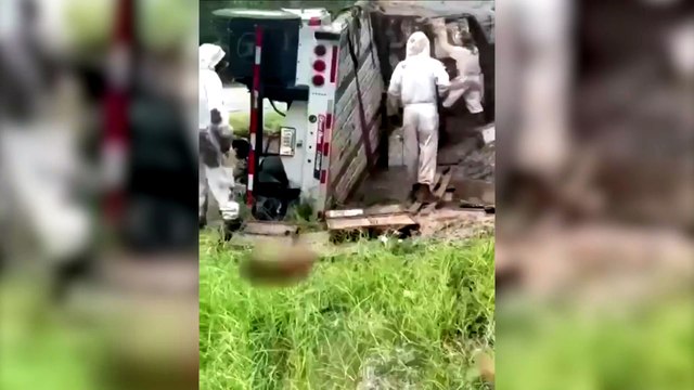 Estados Unidos: volcó un camión que transportaba más de 400 colmenas de abejas y tuvieron que cerrar las rutas