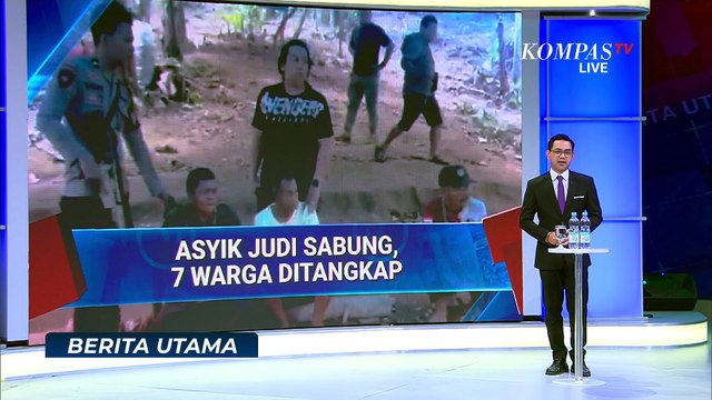 Detik-Detik Polisi Gerebek Arena Judi Sabung Ayam di Polewali Mandar, 7 Orang Ditangkap | BERUT