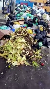 Acúmulo de lixo preocupa moradores do Alto das Pombas durante paralisação dos garis em Salvador; vídeo mostra situação