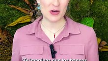 Estos son los bancos españoles investigados por la CNMC