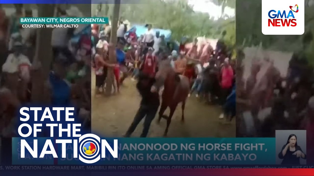 Lalaking nanonood ng horse fight, sugatan nang kagatin ng kabayo | SONA