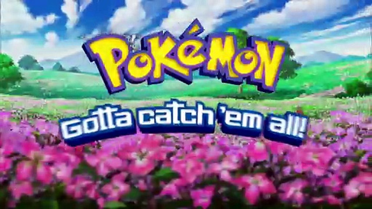 pokemon 21x17
