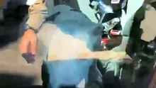 Cachorro é resgatado após passar 24h trancado em carro