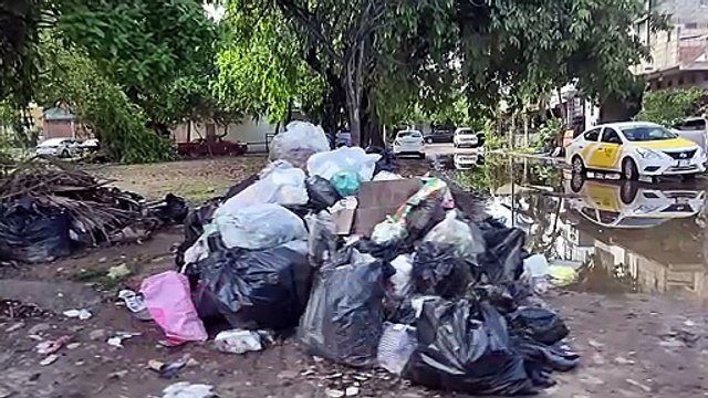 Basura acumulada preocupa a vecinos en Ixtapa | CPS Noticias Puerto Vallarta