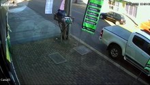 Câmera flagra momento em que idosa é atropelada enquanto atravessava rua em Cascavel