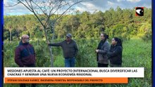 MISIONES APUESTA AL CAFÉ UN PROYECTO INTERNACIONAL BUSCA DIVERSIFICAR LAS CHACRAS