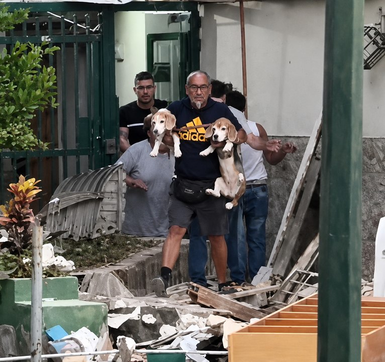 Hombre evacuó junto a sus dos perritos tras fuerte terromoto en Venezuela