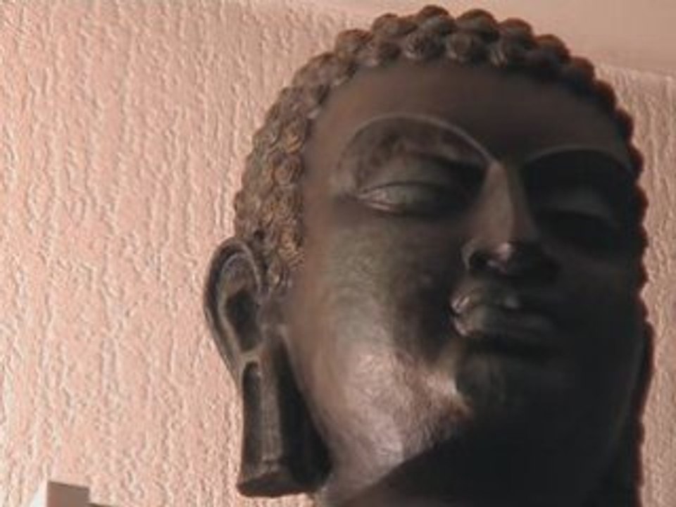 .2vu - Zen