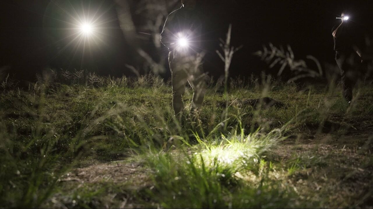 Faites entrer l'accusé