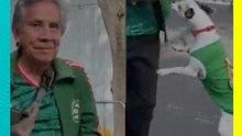 Un abuelito y su lomito se roban el show a las afueras del estadio en pleno ambiente mundialista