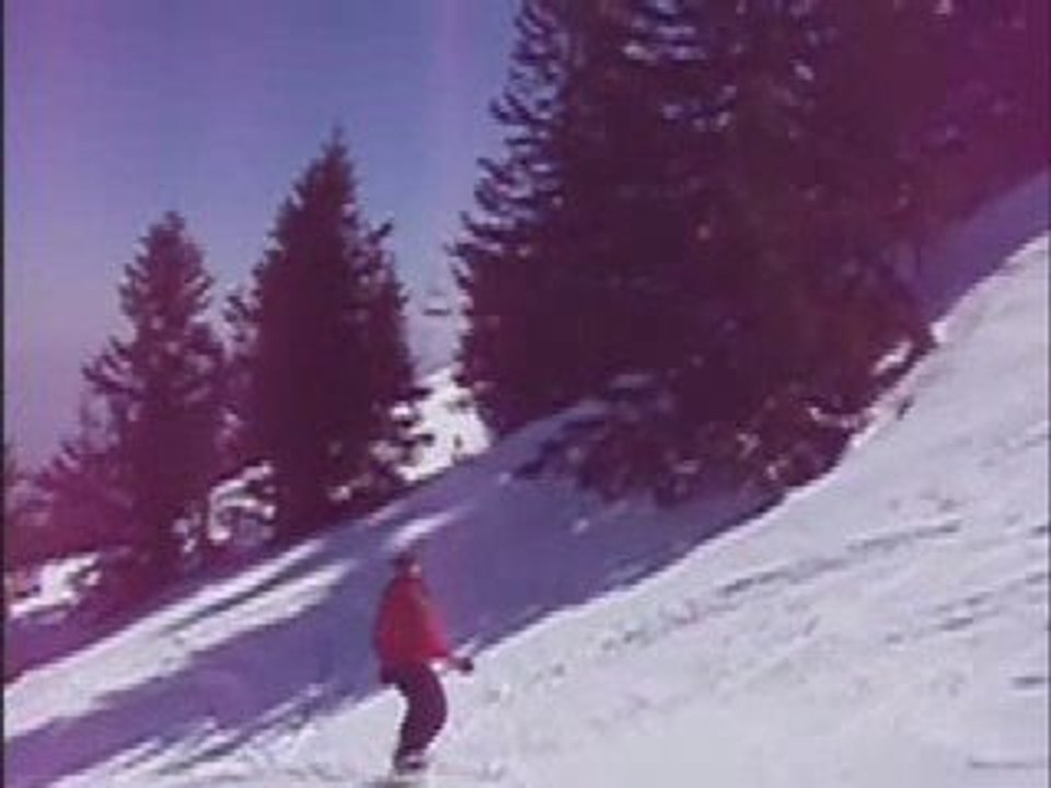 Ski