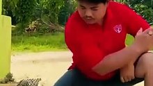 latihan wajib