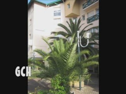 ASAAB EHSAS - TAMER HOUSNI