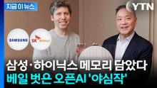 "엔비디아 블랙웰과 대등"…삼전닉스 메모리 심은 오픈AI 야심작 [지금이뉴스] / YTN