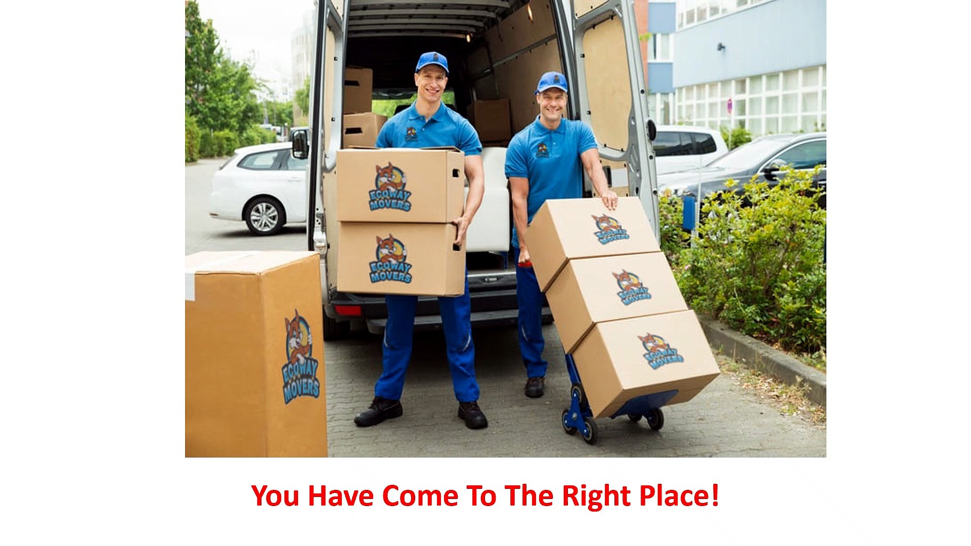 Ecoway Movers - Expert Moving Company in Guelph, ON