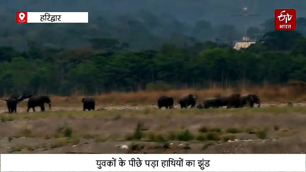 गजराजों के साथ सेल्फी लेना युवकों को पड़ गया भा...