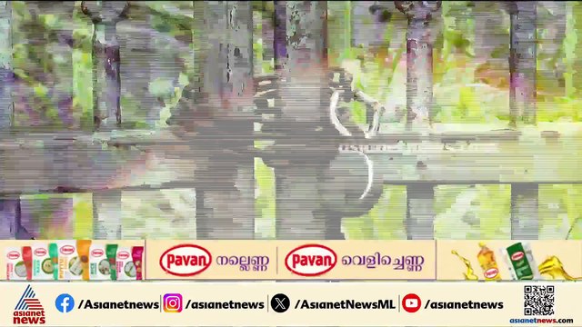 ഉദ്ഘാടനം കഴിഞ്ഞ് 15 വർഷം, സ്ഥിരമായി ഡോക്ടർ ഇല്ല; സ്പോർട്സ് മെഡിസിൻ ഇൻസ്റ്റിറ്റ്യൂട്ട് പ്രവർത്തനരഹിതം