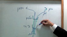 שיעור ז' בספר "שער השמים - בניין אריאל" לרה"ג יעקב הלל שליט"א נמסר מפי כבוד הרה"ג יצחק חלימי שליט"א