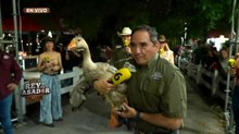 'El Pato' entra al 'Rey del Asador'