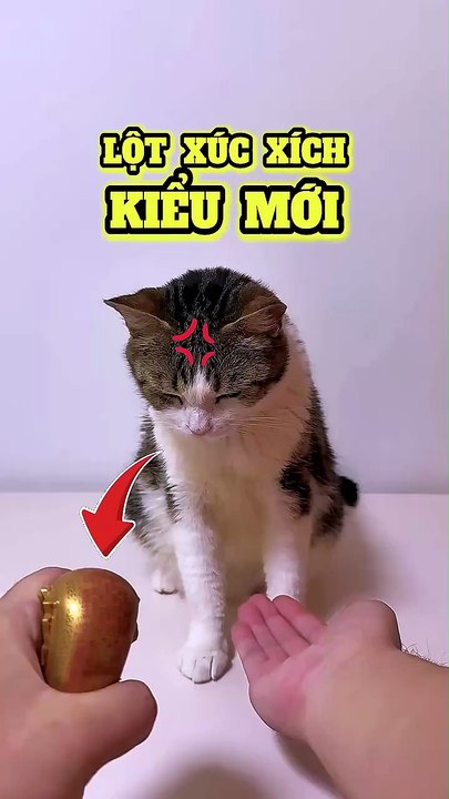 Lột Vỏ Xúc Xích Kiểu Mới 😂🌭✨