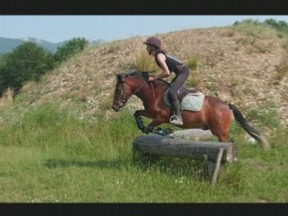 Cross a poney