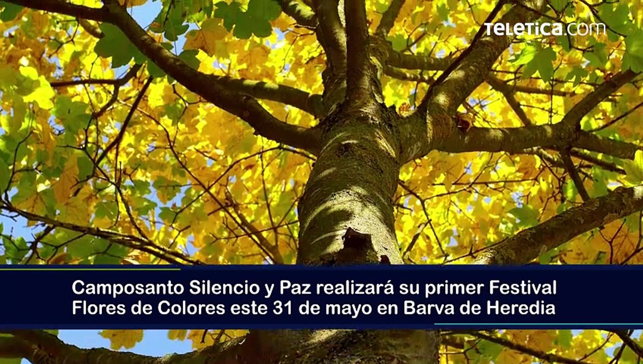 ext-publireportaje-camposanto-silencio-y-paz-290526 [Full Movie]