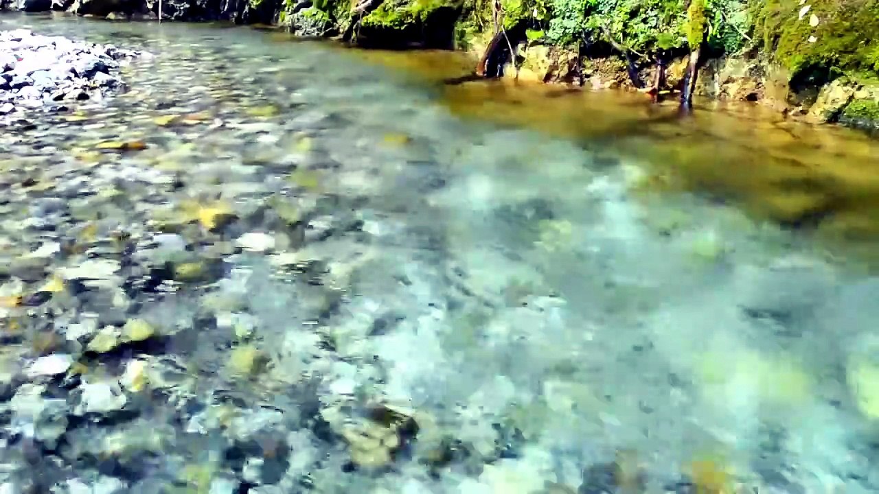 Nature Sounds White Noise - Flowing Water for Deep Sleep, Relax