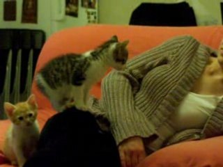 chatons pour ophelie 2