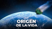 ¿Quién trajo la vida a la Tierra? 13 argumentos a favor del origen cósmico de la vida