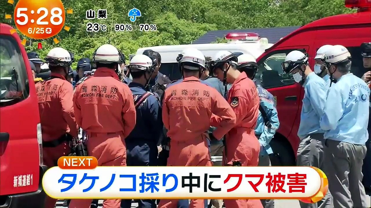 めざましテレビ  動画　2026年06月25日 9tsu 無料 8tsu