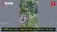 সাফারিতে নয়া অতিথি, বৃহস্পতিতে প্রাণী বিনিময়ে আসছে 'নাগমণি'
